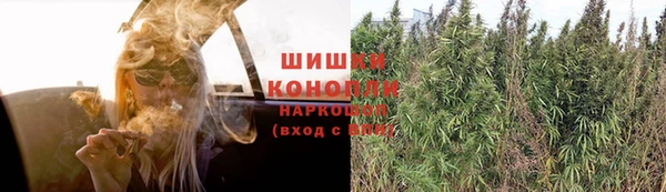 каннабис Абаза
